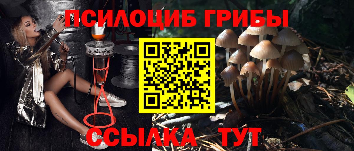 Псилоцибиновые грибы Cubensis  Галлюциногенные грибы Cubensis  Дедовск  Вход с VPN 