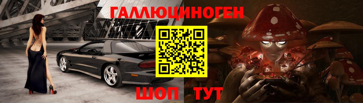 Галлюциногенные грибы Cubensis Дедовск